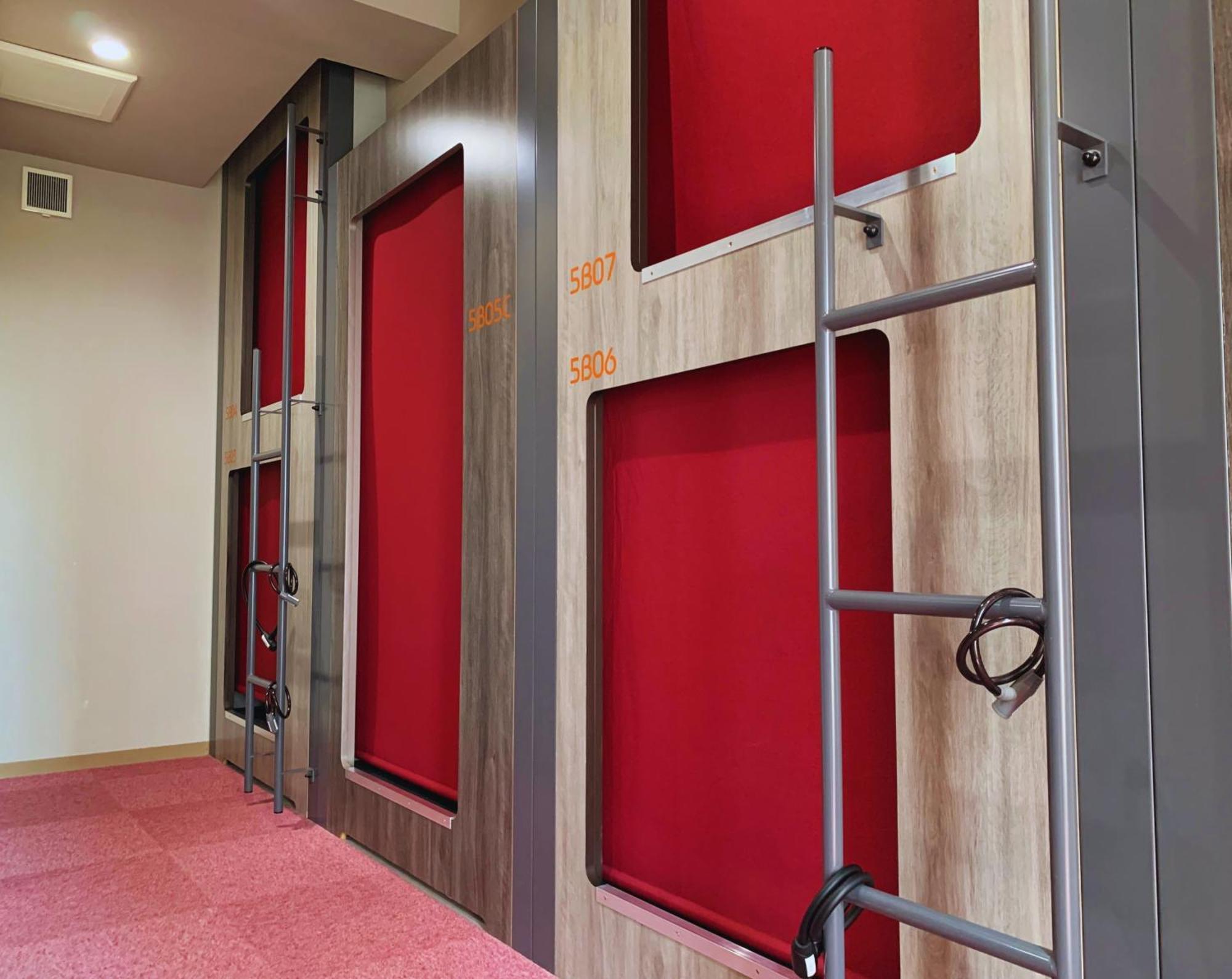 Beagle Hostel＆apartments Hostel *